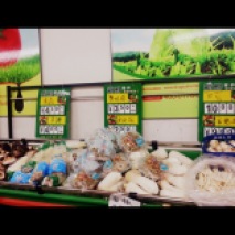 Many different types of mushrooms are for sale