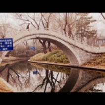 Pretty arched bridge at Purple Bamboo