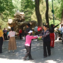 Ballroom dancing with rockery in background